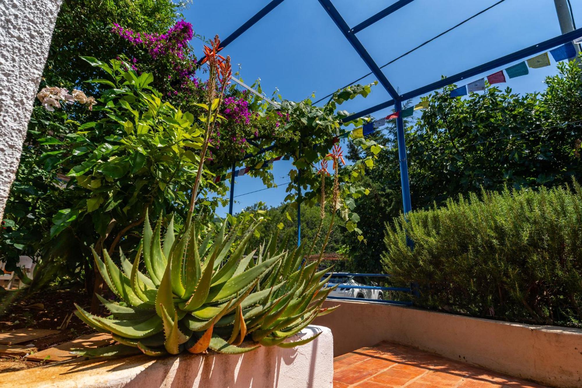 Casa Porozina - Cozy & - Paradise 300m * Cres